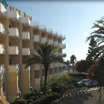 Aloe 4*