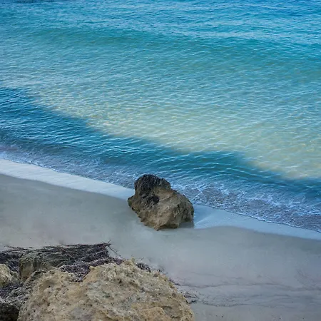 Aloe מלון פאפוס