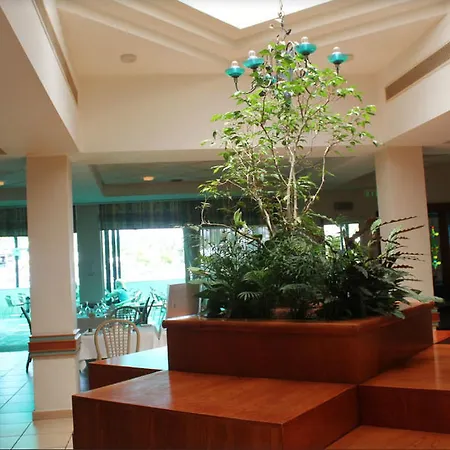Aloe Hotel 4*