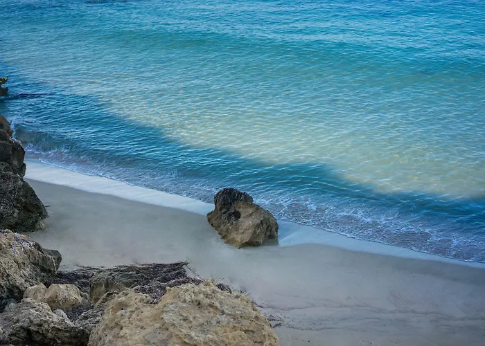 Aloe Отель Пафос